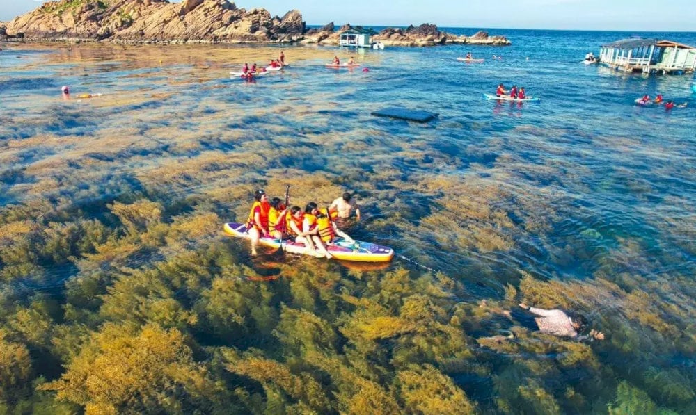 Hòn Khô Quy Nhơn mùa nào đẹp